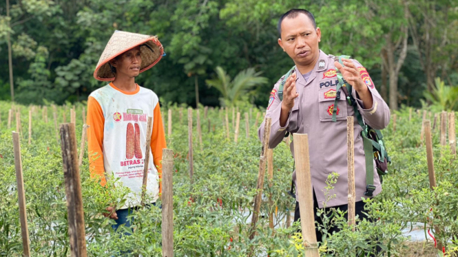 Anggota Polisi Sektor Penengahan Ajak Petani Cabai Bangun Bak Air