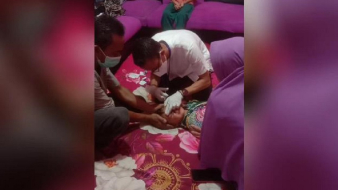 Memilukan, 3 Bocah di Tanggamus Lampung Digigit Anjing Liar