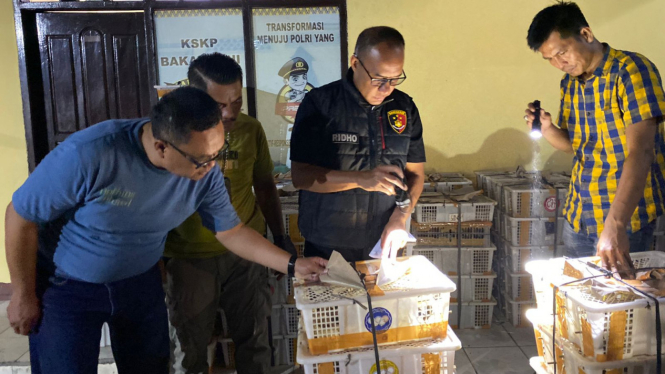 Penyelundupan Ribuan Ekor Burung Digagalkan Polsek KSKP