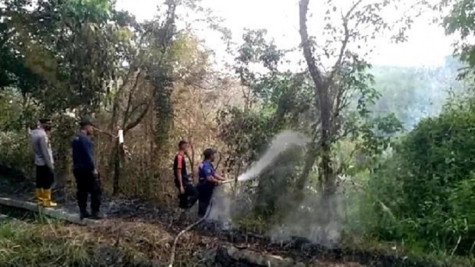 Lahan di Area Bendungan Batutegi Lampung Terbakar