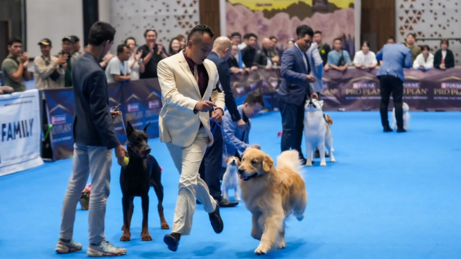 Kontes Anjing Perkin Jaya All Breed Dog Show 2023