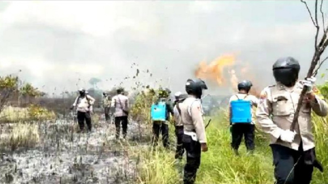 Lebih dari 200 Hektar Lahan Taman Nasional Way Kambas Lampung Terbakar