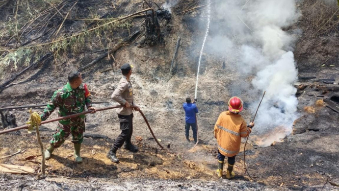 Pakai Alat Sederhana, Petugas Gabungan Padamkan Kebakaran 70 Hektare Lahan di Tanggamus Lampung