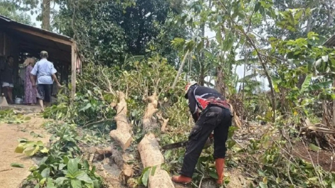 BNPB Sebut Ratusan Orang di Sukabumi, Jawa Barat, Terdampak Angin Puting Beliung