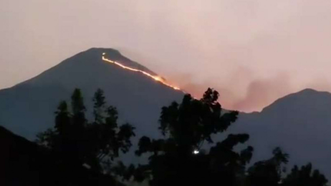 Kebakaran Dahsyat Menimpa Gunung Penanggungan Mojokerto, Api Menjalar dari Puncak hingga Lereng