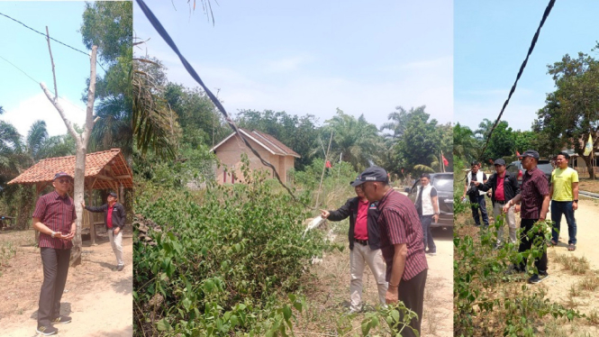 Miris! Tiang Listrik di Lampung Timur Pakai Bambu dan Berpotensi Memakan Korban Jiwa