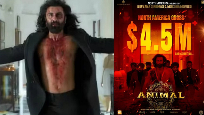 Meski Tuai Kontroversi, Koleksi Box Office Animal Ranbir Kapoor Tak Terbendung, Raih Total Rp473,8 Miliar