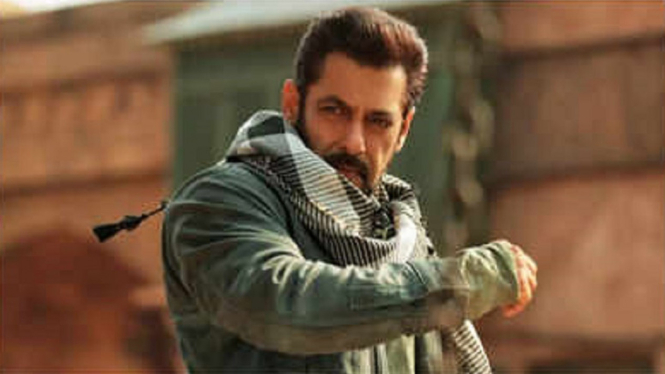 Pasca Sukses Film 'Tiger 3' Salman Khan: Satu-satunya Pekerjaan Saya Adalah Menghibur Orang