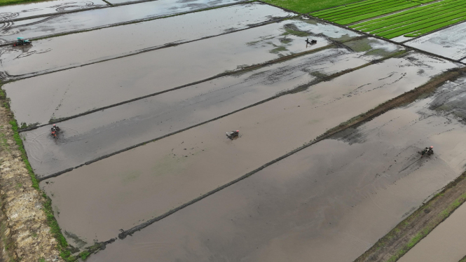 Amran Percepat Kesiapan Lahan Pertanian Merauke