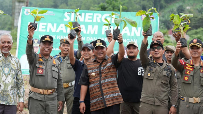 Pemprov Sulawesi Barat memprogramkan “Sepekan Menanam Mangrove”