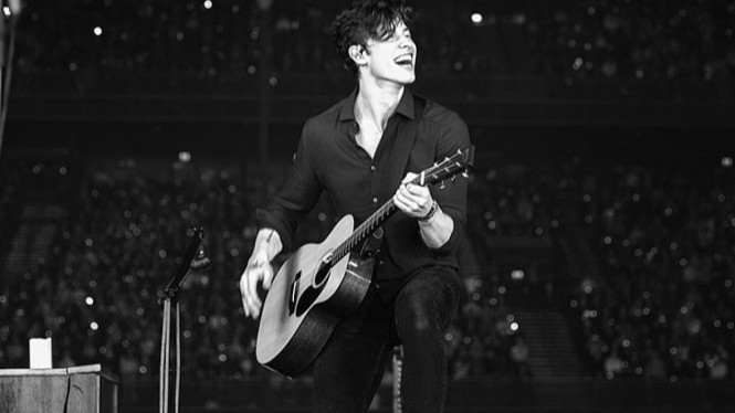 Shawn Mendes