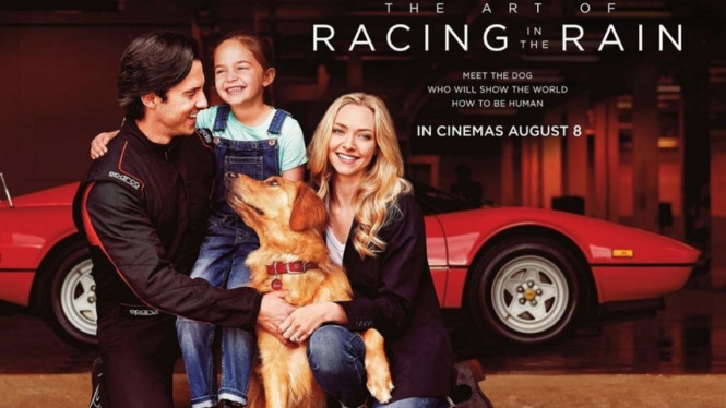 The Art of Racing in the Rain