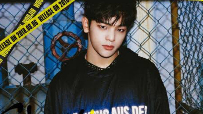 Woojin Stray Kids