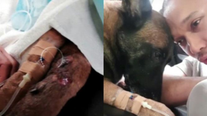 Bima Aryo dan Sparta