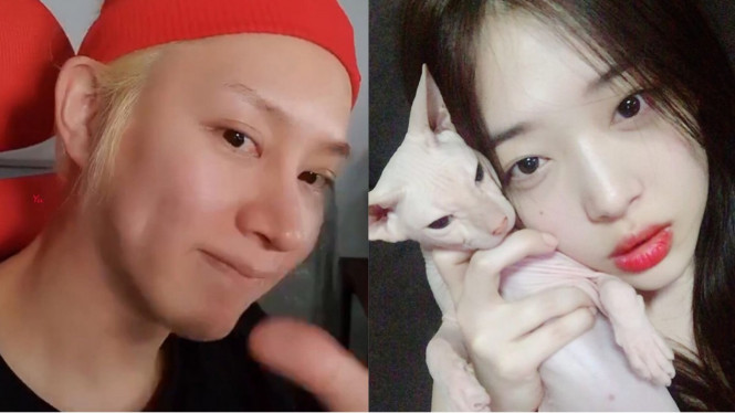 Heechul Super Junior dan Sulli