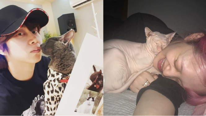 Sulli dan Heechul Super Junior