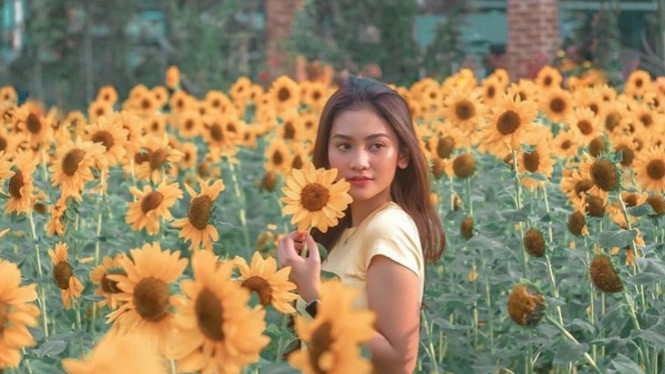 Sarah Tuffahati Mornov