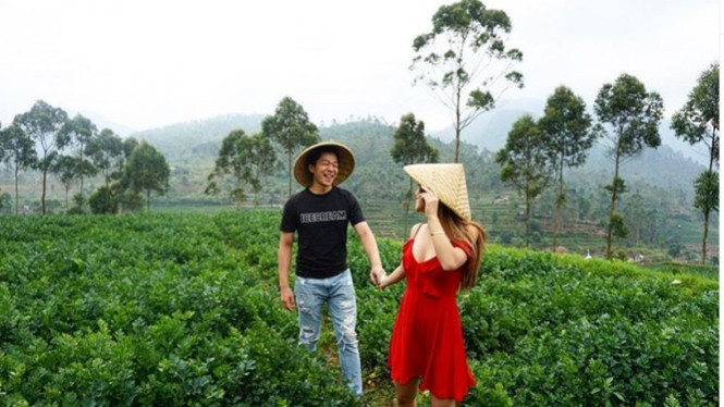 Titan Tyra dan Gaius