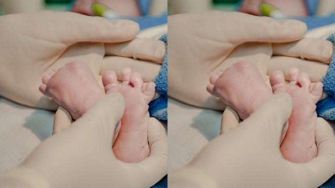 Tantri Kotak dan Arda Naff