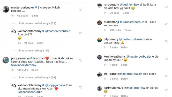 Kalina octarianny, insank