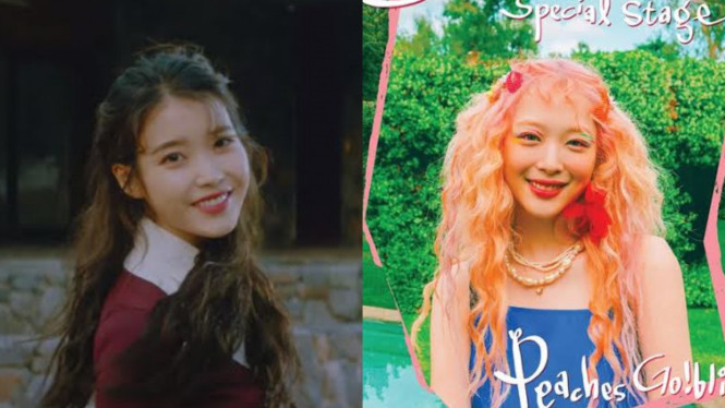IU dan Sulli