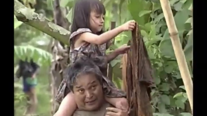 adi kurdi meninggal dunia