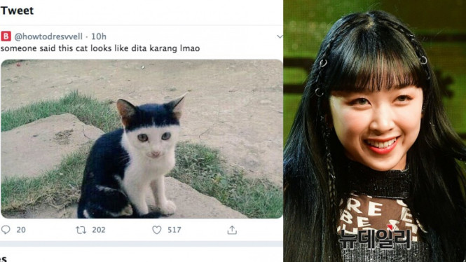 @howtodresvvell/Twitter