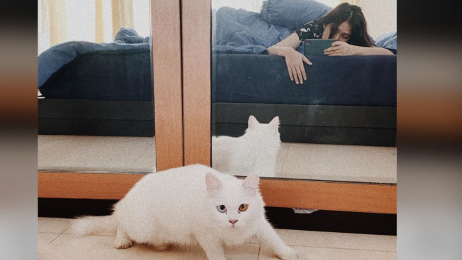 instagram/@cutsyifaa