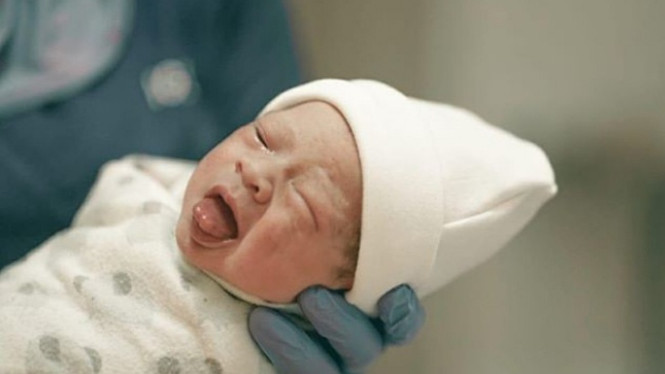 Instagram/@marcelldarwin