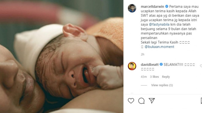 Instagram/@marcelldarwin