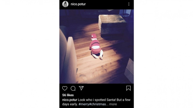 Instagram/nico.potur