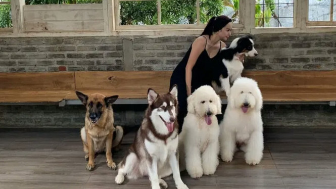 Instagram/@aurakasih