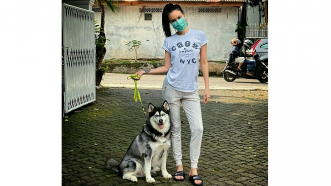 Berbagai Sumber/@sophia_latjuba88