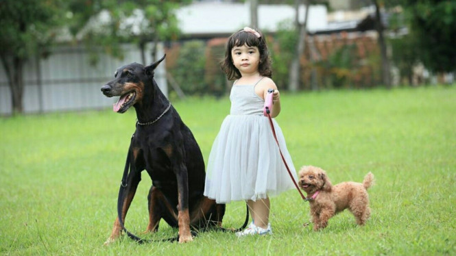 Instagram/@nsyakieb85