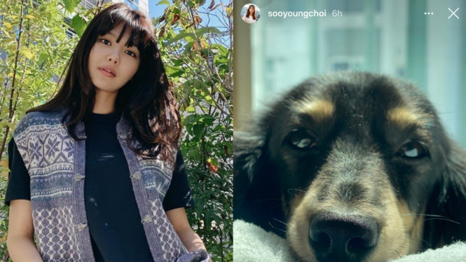 @sooyoungchoi/Instagram