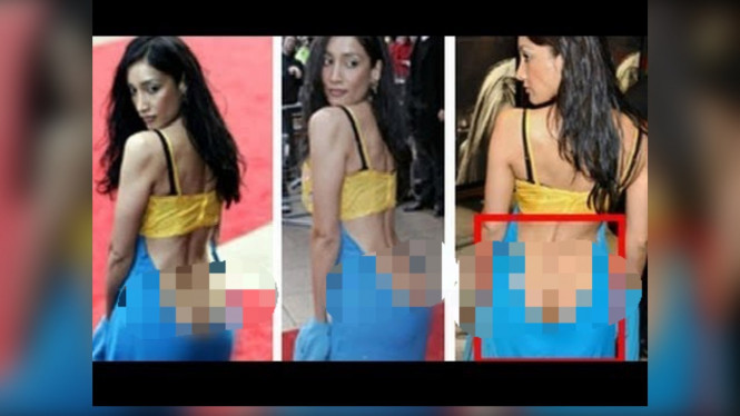 Vanityonaplogies.com