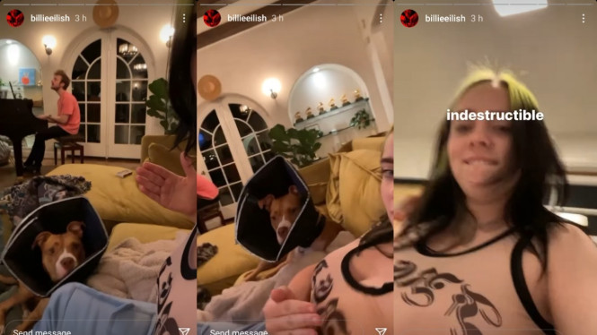 Instagram/billieeilish