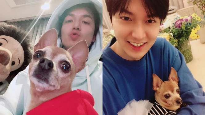 @actorleeminho/Instagram