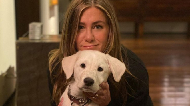 Siap Pacaran, Jennifer Aniston Langsung Minta Dicomblangkan