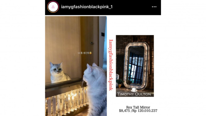 @iamygfashionblackpink_1/Instagram