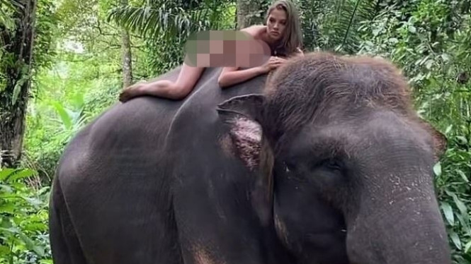 Instagram/kafelnikova_a