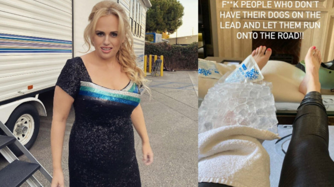 Instagram/rebelwilson