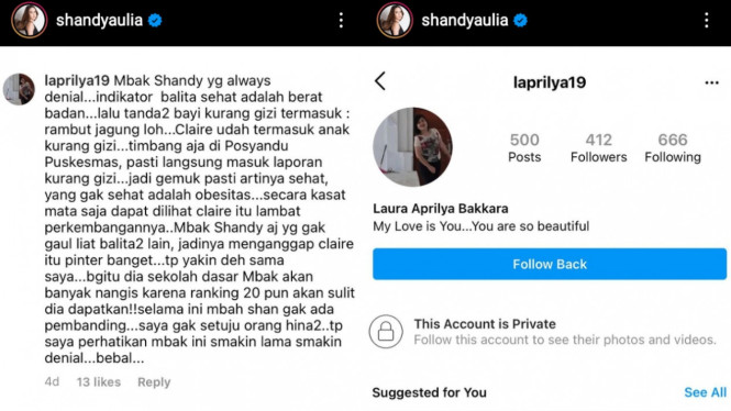 Instagram/shandyaulia