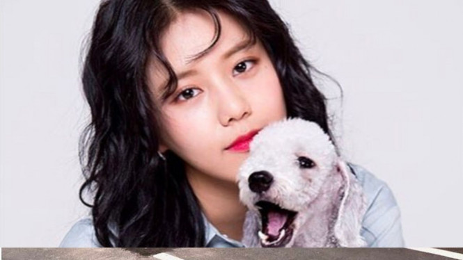 Instagram/dongdong810