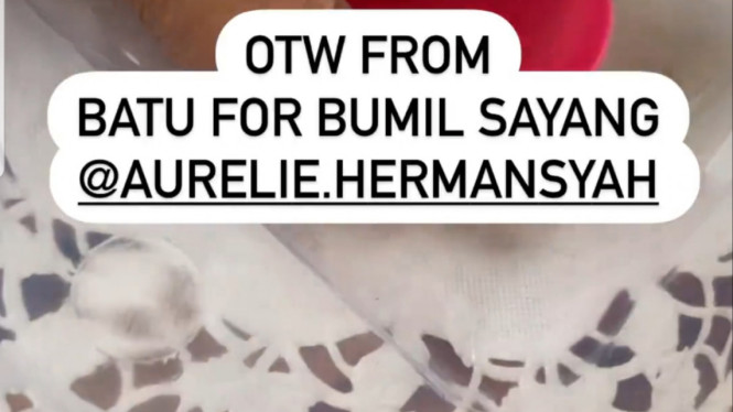 Instagram/krisdayantilemos