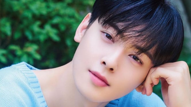 Profil Cha Eun Woo Idol Korea Tampan yang Baru ke Indonesia