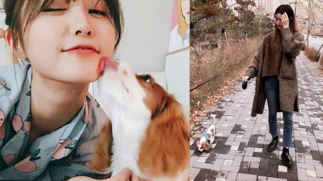 Instagram/mocha_wooyoo