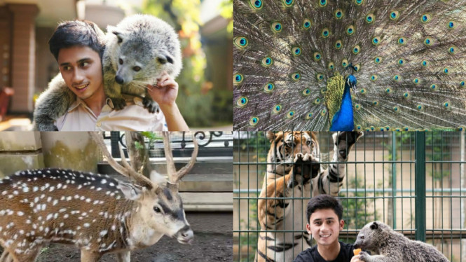 Instagram/Alshadahmad