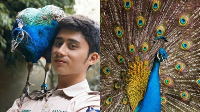 Instagram/Alshadahmad