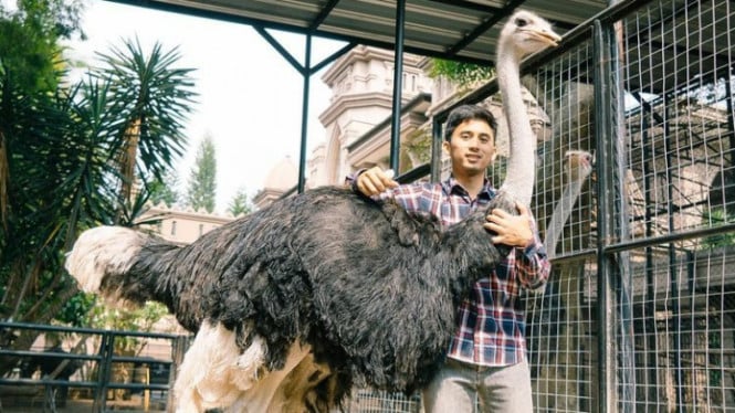 Instagram/Alshadahmad